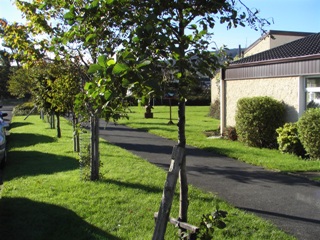 QUEEN OF ANGELS PRIMARY SCHOOL