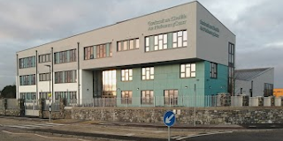 Gaelscoil an Choillín